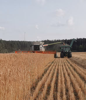 Altmuehltaler BIO Ei Biobetrieb Seitz 1