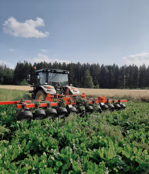 Altmuehltaler BIO Ei Biobetrieb Seitz 2