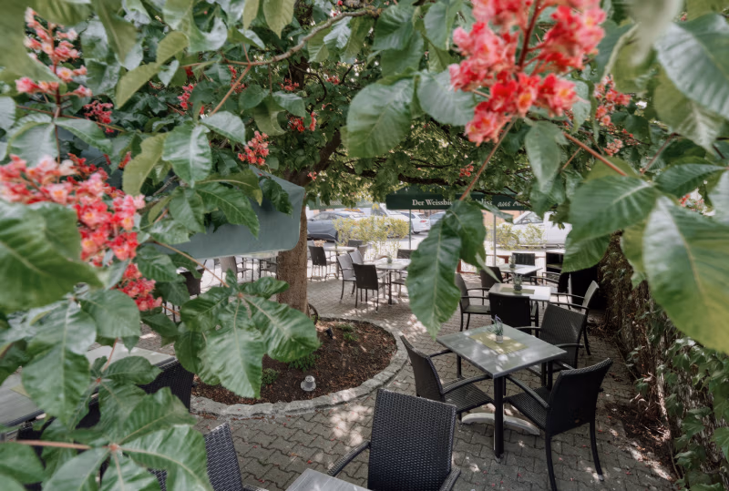 Biergarten 1