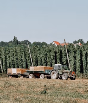 Milch Direkt Lenzbauer 1